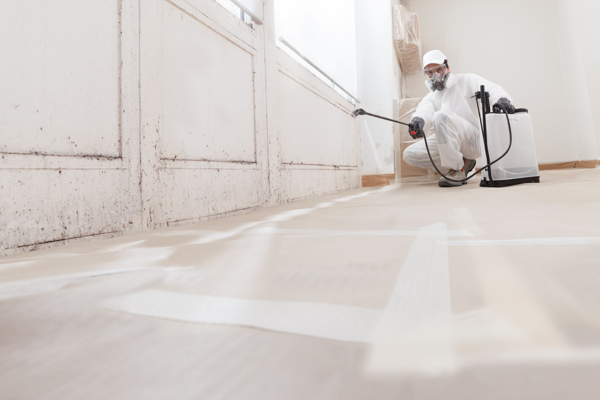 A person in protective gear is diligently spraying a white room with pesticide from a canister, ensuring comprehensive mold remediation to provide essential family protection.