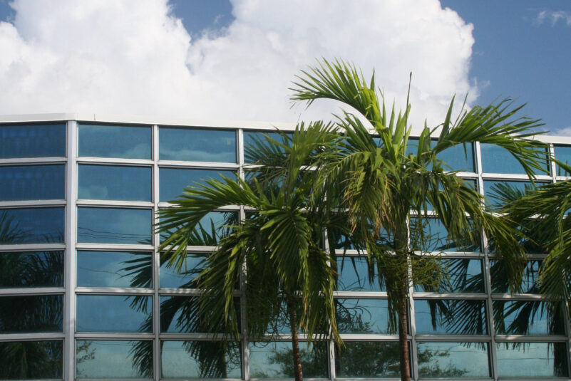 Modern glass building facade with reflective windows. Palm trees in the foreground, set against a blue sky with white clouds.