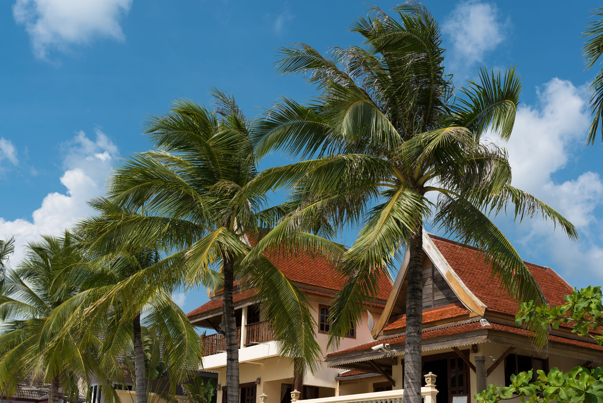 A house with red tile roofs is partially shaded by tall palm trees under a blue sky with scattered clouds, creating an inviting setting that could inspire nearby businesses seeking a tranquil ambiance.