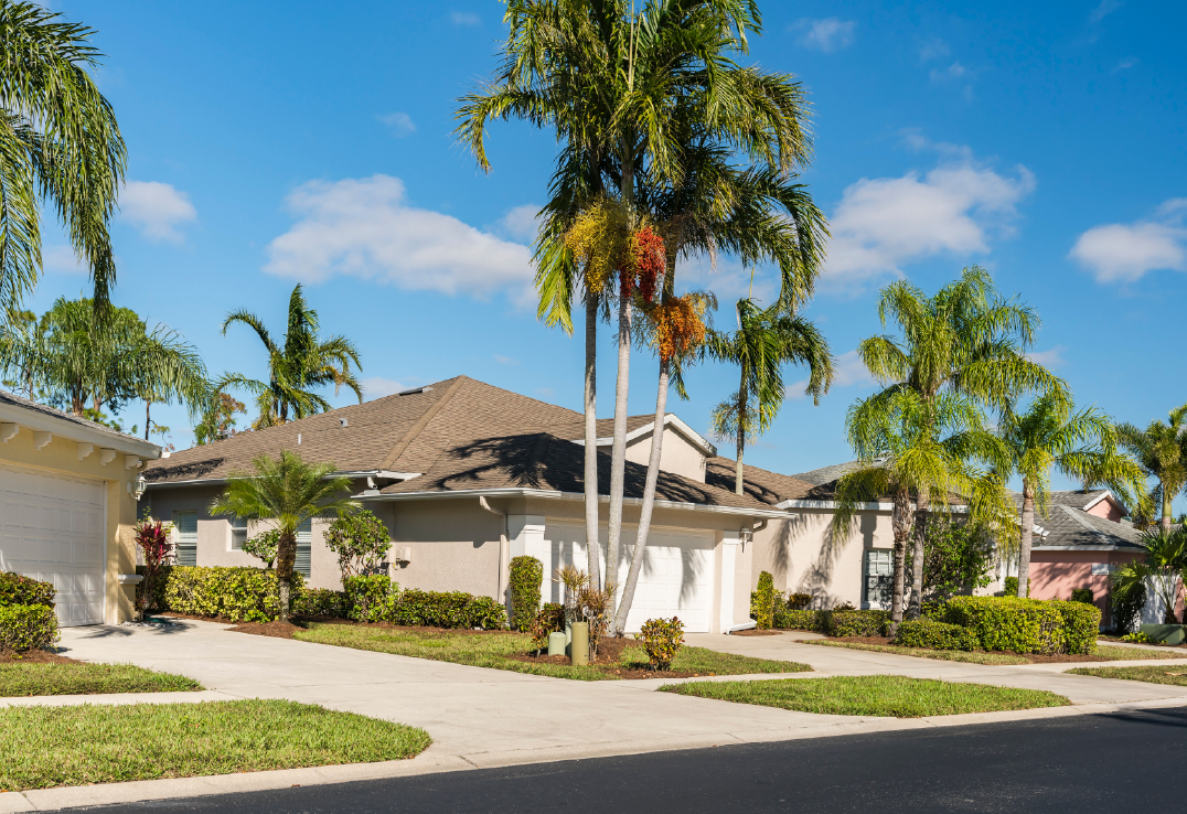Suburban neighborhood with single-story houses, palm trees, manicured lawns, driveways, and clear blue sky—ideal for homeowners seeking wind mitigation discounts on their insurance.