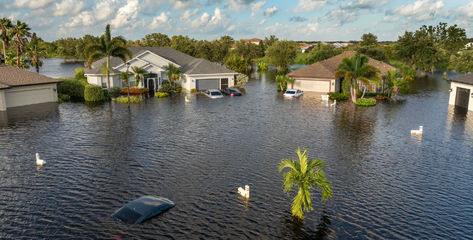 Floodwaters surround houses and partially submerge cars in a residential neighborhood, with palm trees and cloudy skies in the background, highlighting the importance of flood insurance in Florida.