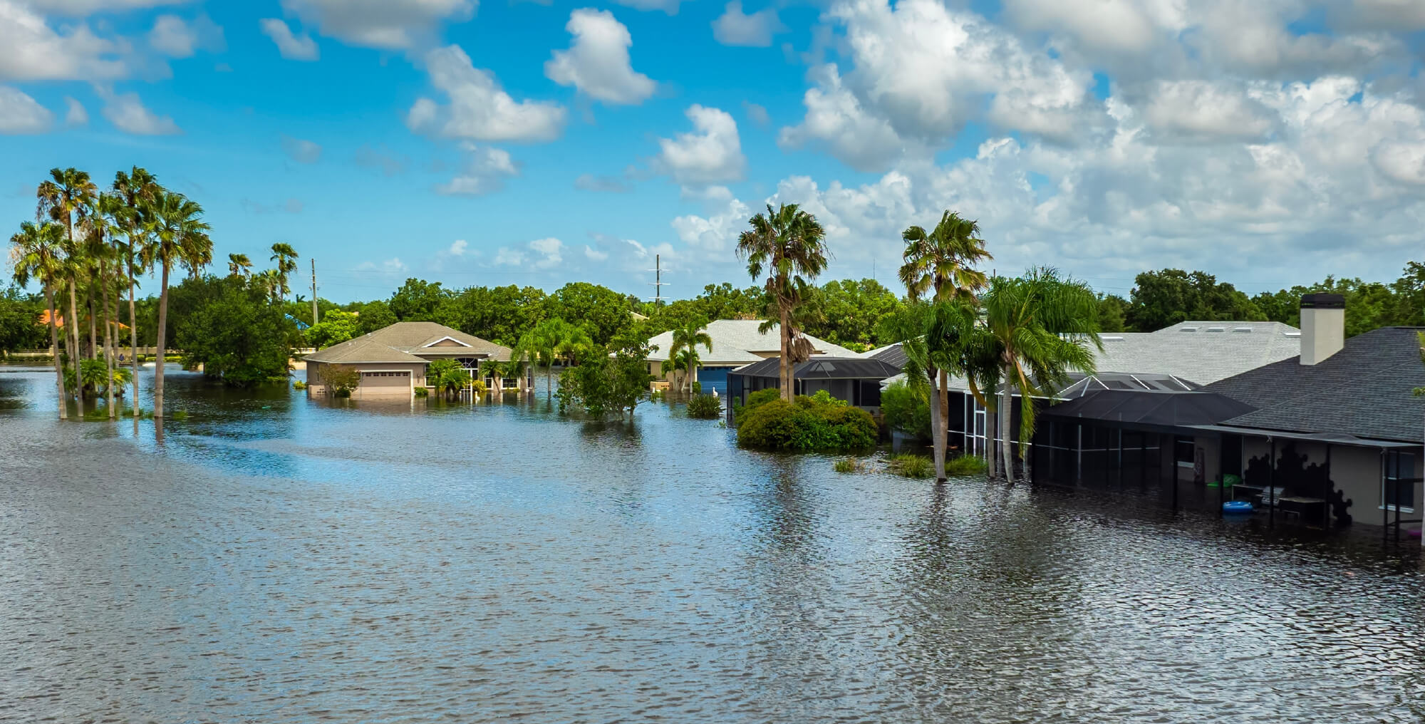 Floodwaters surround suburban homes and palm trees under a partly cloudy sky, submerging streets and lawns in a residential neighborhood, highlighting the importance of flood insurance in Florida.